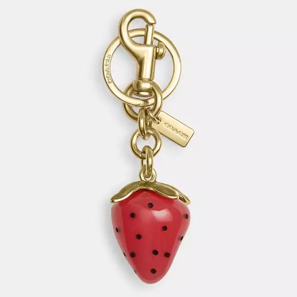 CoachX Strawberry Keychain/Bagtag - Picture 1 of 8